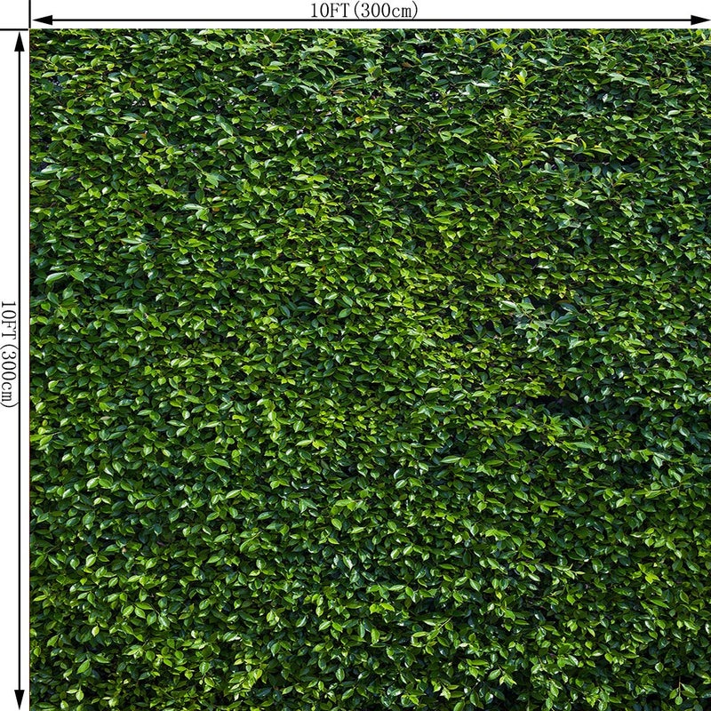 OUYIDA 10X10FT Green Leaves Photography Backdrops Leaf Green Vertical Texture Backdrop Birthday Background for Birthday Party Seamless Photo Booth Vinyl Backdrop PCK41C - Image 2